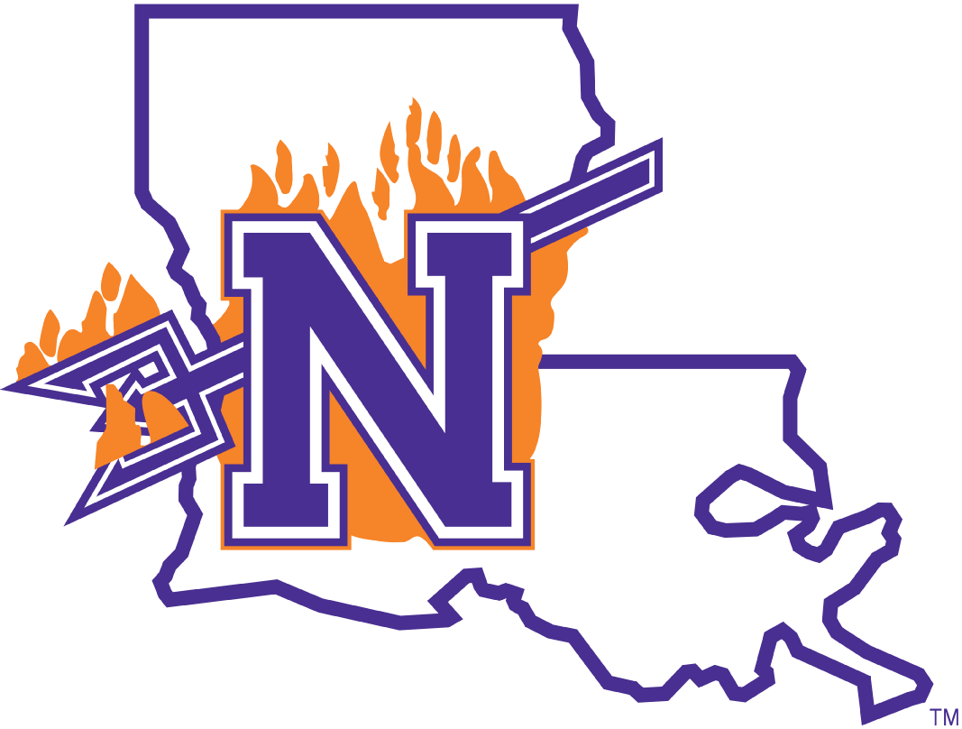 Northwestern State Demons 2008-2013 Primary Logo diy DTF decal sticker